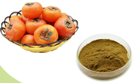 Persimmon Extract.png